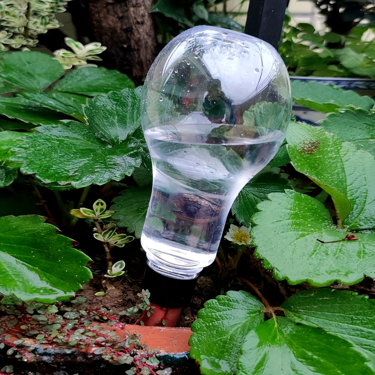 Garden Automatic Watering Tool - Smart Garden Watering review and price