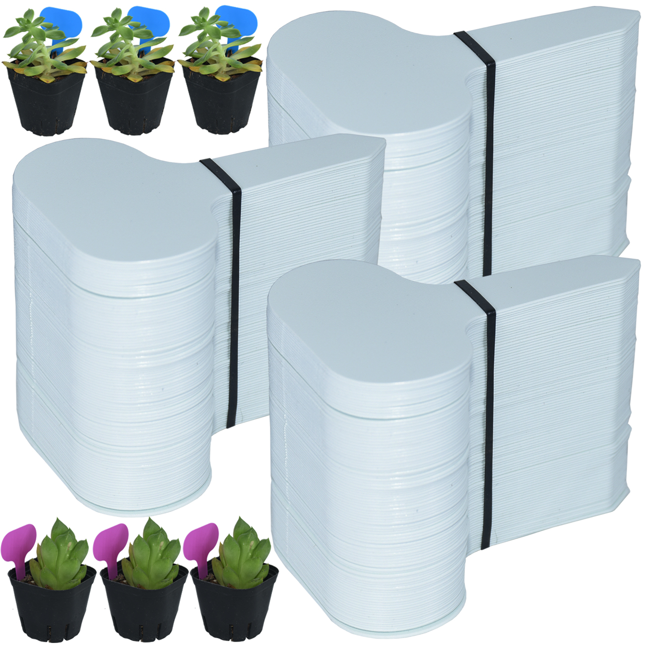 50PCS Garden Plant Labels Mark - Garden Journal Planner review and price