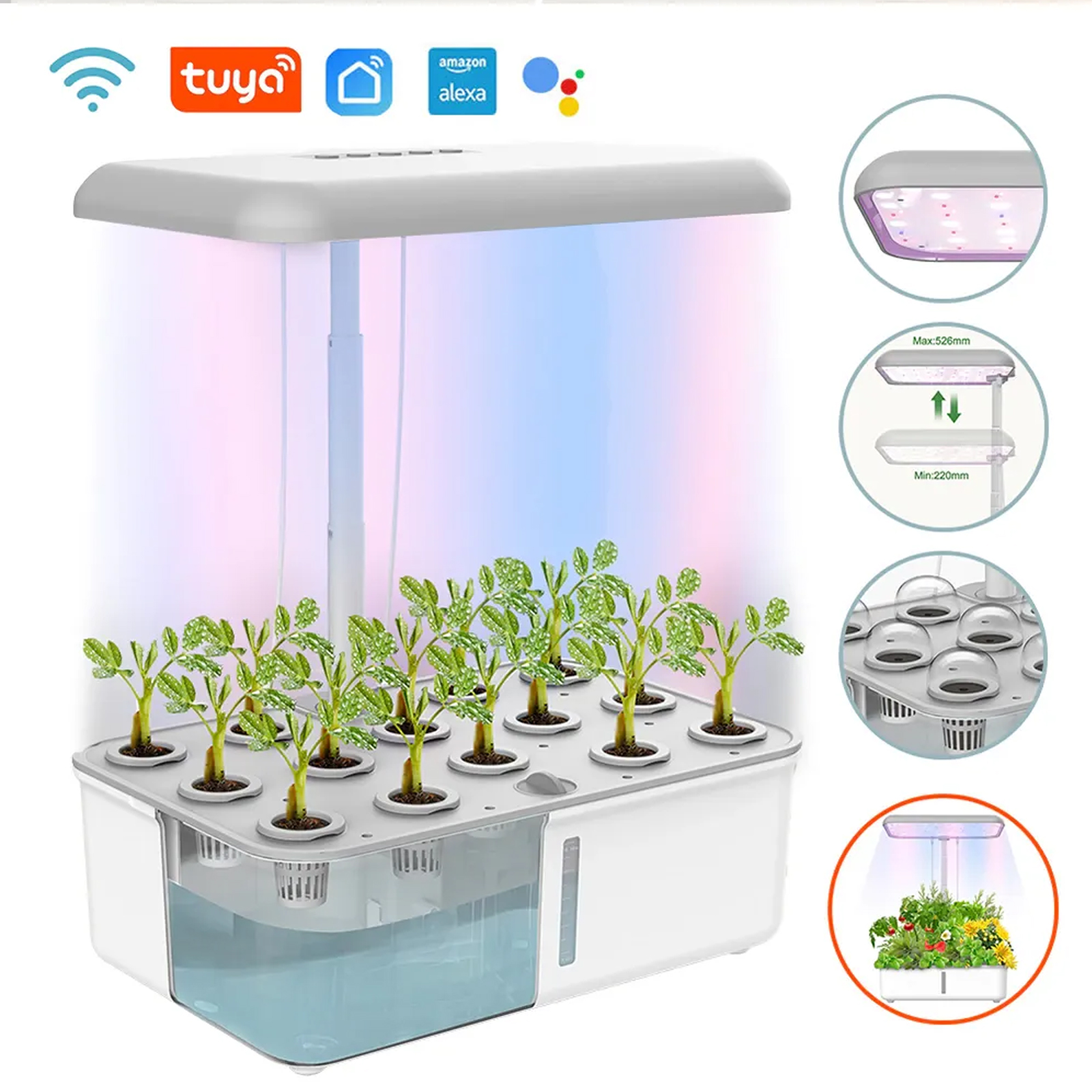 Tuya WiFi Plant Hydroponics Sy - Smart Garden Iot review and price