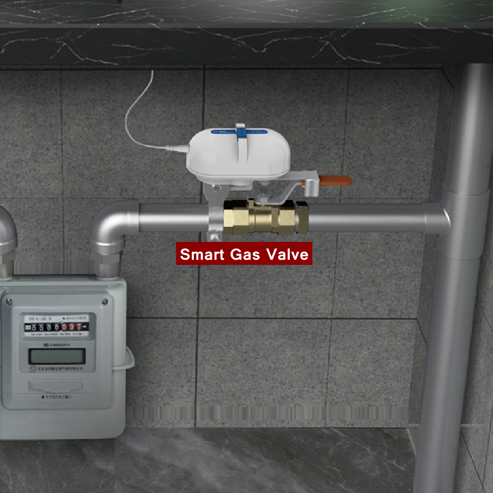 Tuya Smart Home WiFi Zigbee Wa - Smart Garden Valve review and price