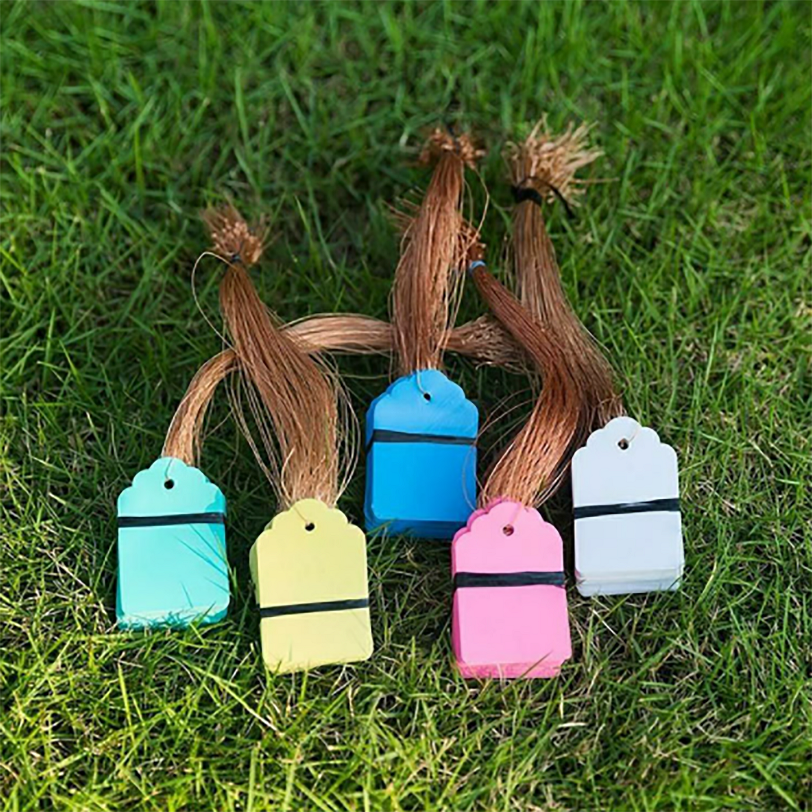 100Pcs/Lot Plants Hanging Plan - Garden Journal Planner review and price