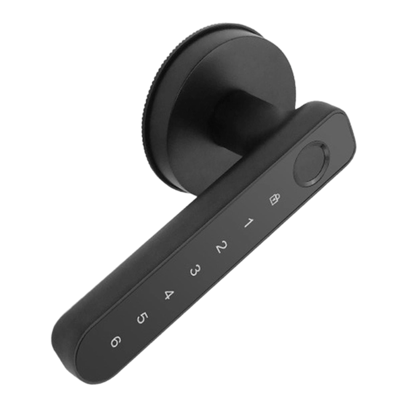 Smart Handle Lock with Fingerp - Smart Garden Door Lock review and price