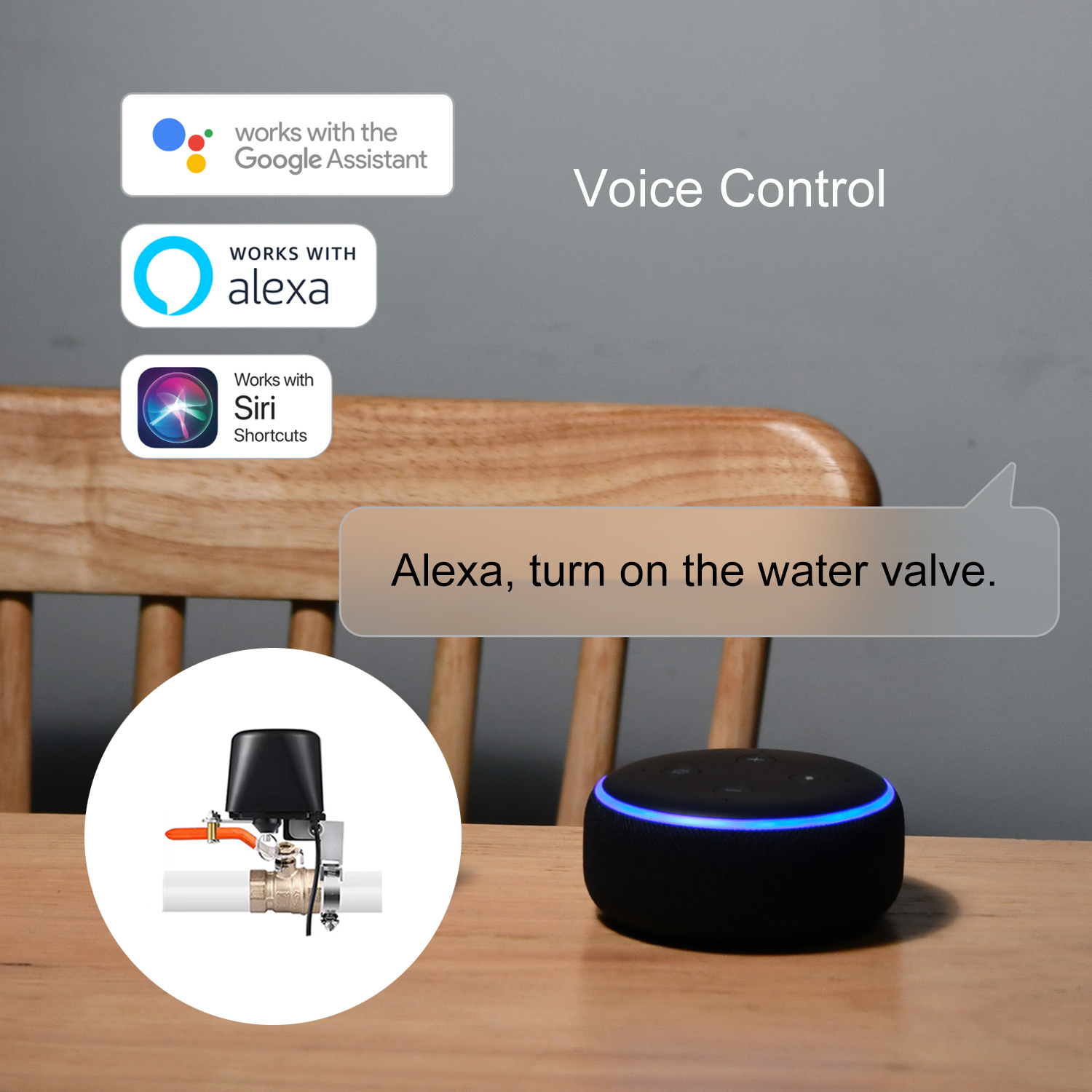 ZigBee Water/Gas Valve Remote  - Smart Garden Valve review and price