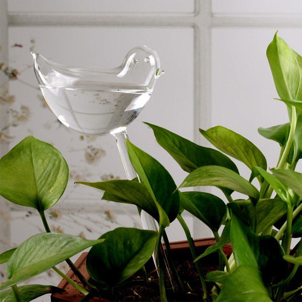 Automatic Plant Watering Bulbs - Smart Garden Auk review and price