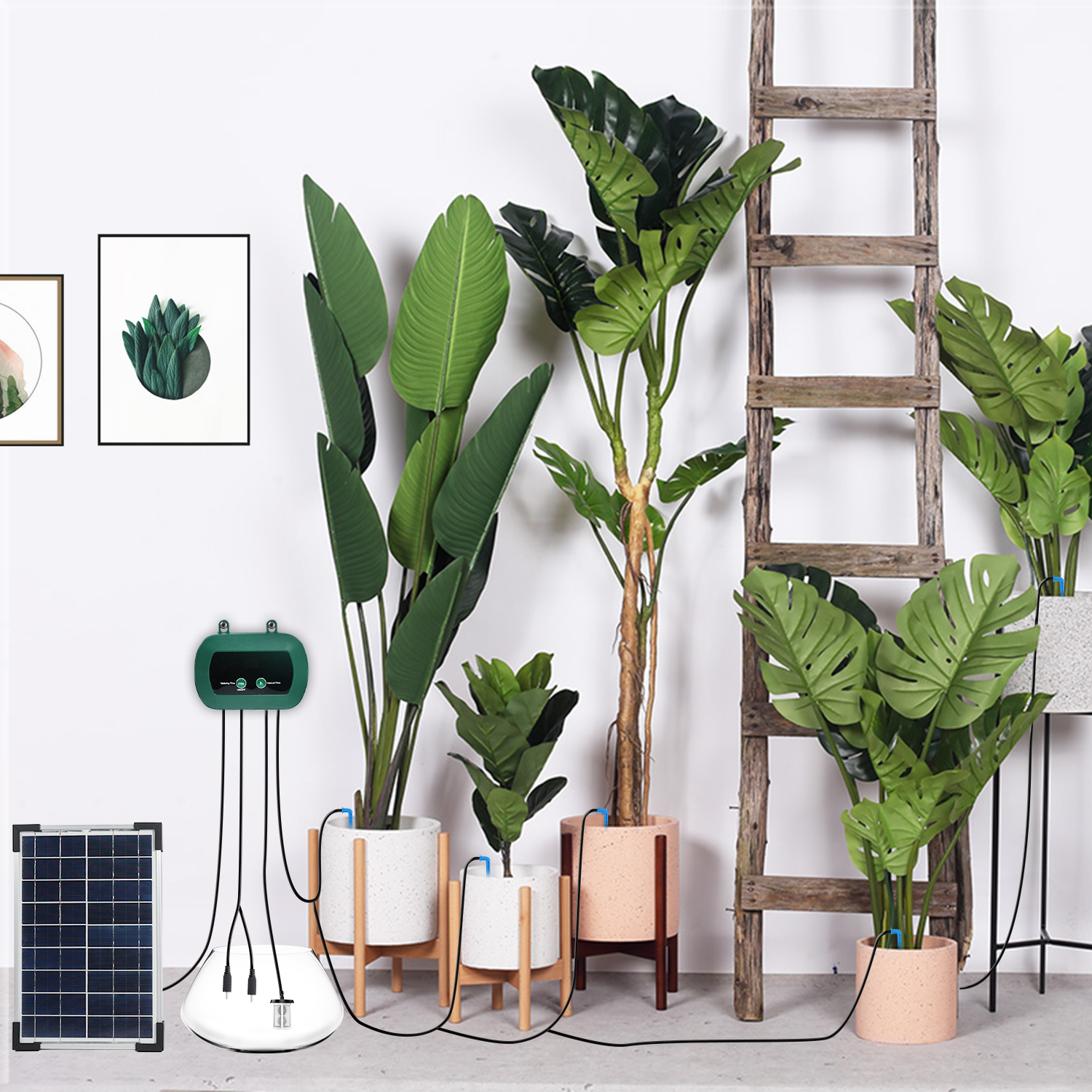 Solar Hydroponics Equipment  M - Smart Garden Watering review and price