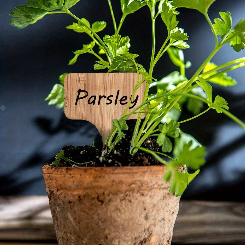 Bamboo Plant Labels, T-Type Wo - Garden Journal Planner review and price