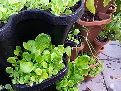 Smart Farm Automatic Self Wate - Smart Garden Watering review and price
