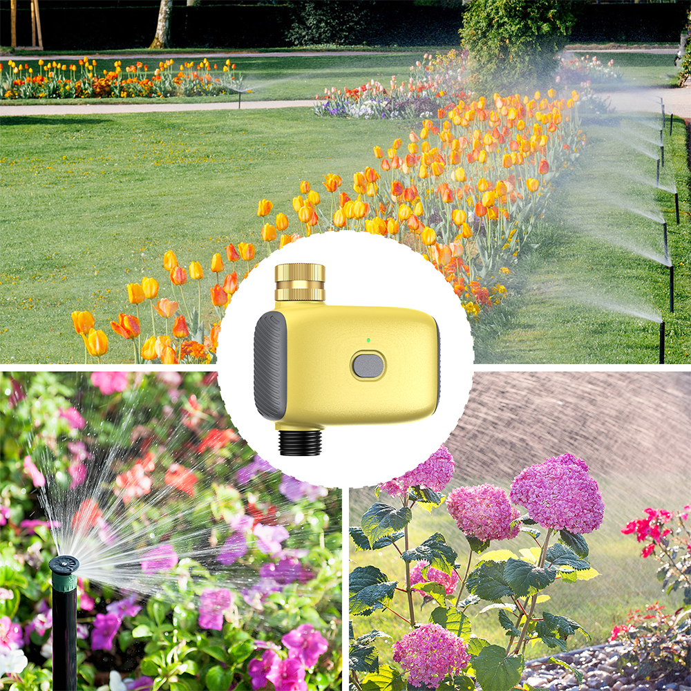 Wholesale Smart Digital  Water - Smart Garden Watering review and price