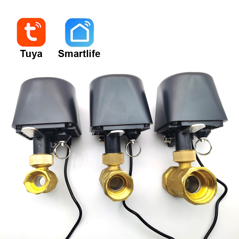Tuya WiFi or Zigbee Water Valv - Smart Garden Valve review and price